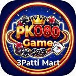 PK080 Game