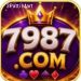 7987 com