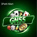GN55 GAME